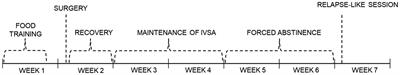 The effect of CNQX on self-administration: present in nicotine, absent in methamphetamine model